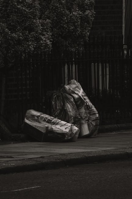 Plumstead Common rubbish collection guide for locals